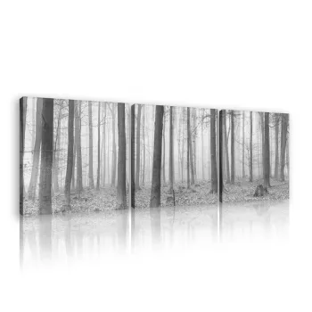   Vászonkép 3 darabos, Erdő fekete-fehér, 3 db 25x25 cm méret