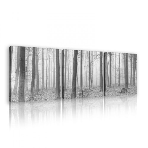 Vászonkép 3 darabos, Erdő fekete-fehér, 3 db 25x25 cm méret