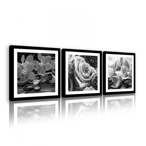 Vászonkép 3 darabos, Orchideák és rózsa fekete-fehér, 3 db 25x25 cm méret