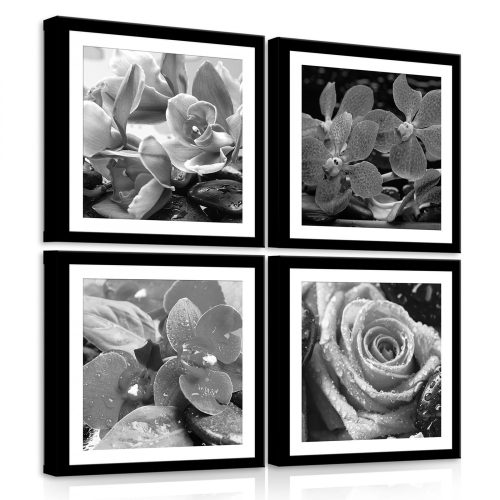 Vászonkép 4 darabos, Virágok fekete-fehérben 50x50 cm méretben