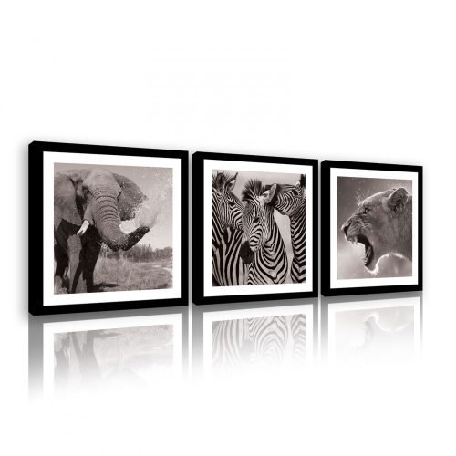Vászonkép 3 darabos, Állatok fekete-fehér, 3 db 25x25 cm méret