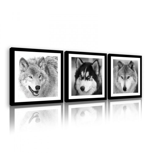 Vászonkép 3 darabos, Farkasok, 3 db 25x25 cm méret