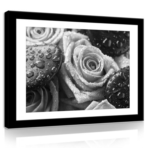 Vászonkép, Fekete-fehér rózsa, 80x60 cm méretben