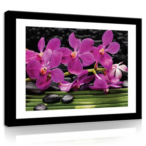 Vászonkép, Orchideák 80x60 cm méretben