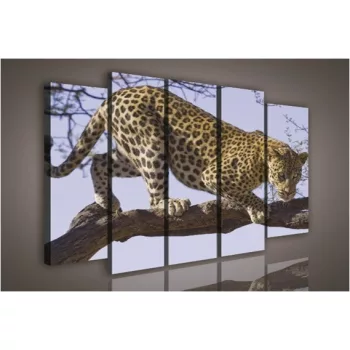 Vászonkép, 5 darabos Leopárd a fán 150x100 cm méretben