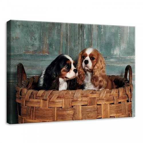 Kutyák, vászonkép, 70x50 cm méretben