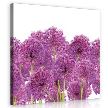 Hagymavirág, vászonkép 40x40 cm méretben