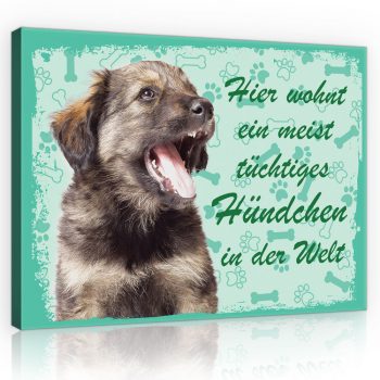   Vászonkép, Kutya - Hier wohnt ein meist tüchtiges Hündchen in der Welt, 80x60 cm méretben