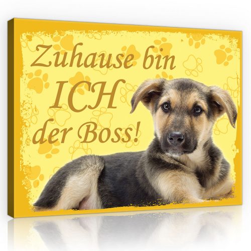 Vászonkép, Kutya - Zuhause bin ICH der Boss!, 100x75 cm méretben