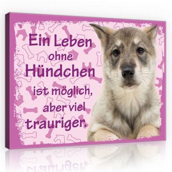   Vászonkép, Kutya - Ein Leben ohne Hündchen ist möglich, abel viel trauriger., 100x75 cm méretben