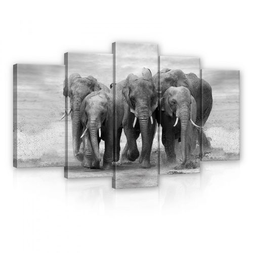Vászonkép 5 darabos, Elefántok 100x60 cm méretben