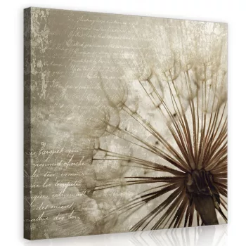 Pitypang, vászonkép 40x40 cm méretben