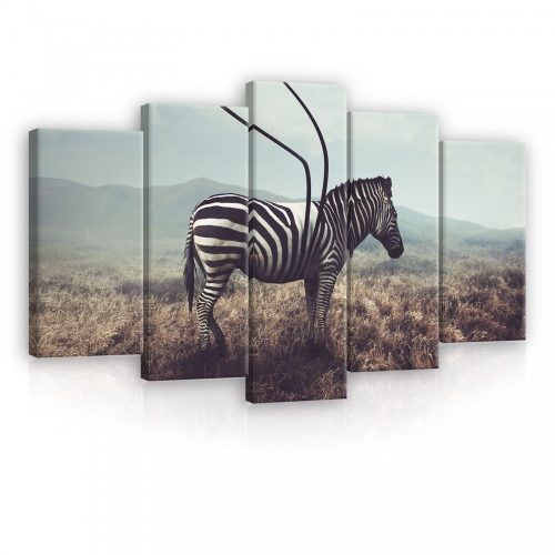 Vászonkép 5 darabos, Zebra a nezőn 100x60 cm méretben
