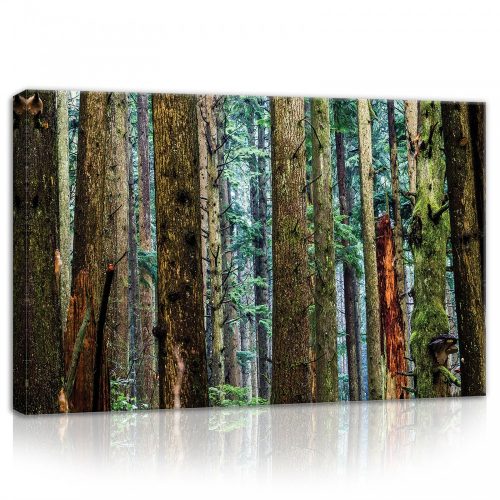 Erdő, vászonkép, 60x40 cm méretben