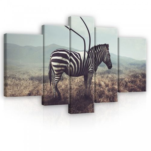 Vászonkép, 5 darabos, Zebra 170x100 cm méretben