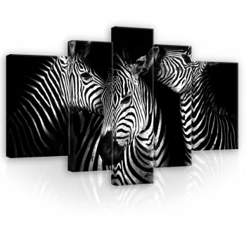 Vászonkép, 5 darabos, Zebrák 170x100 cm méretben