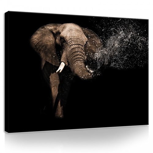 Vászonkép, Elefánt, 100x75 cm méretben