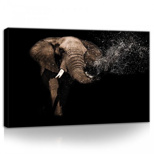 Elefánt, vászonkép, 60x40 cm méretben