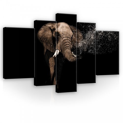 Vászonkép, 5 darabos, Elefánt 170x100 cm méretben