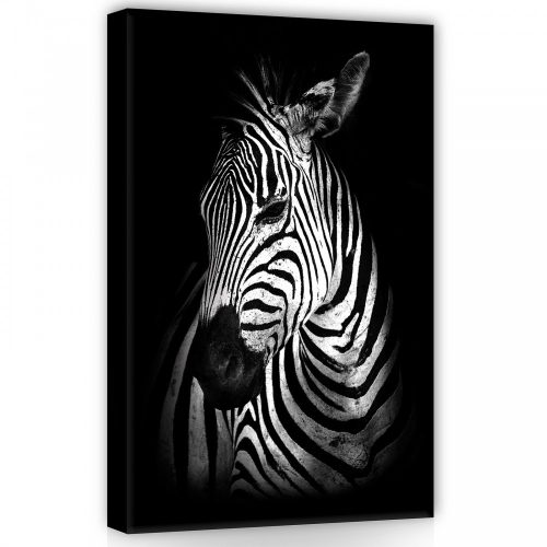 Zebra, vászonkép, 40x60 cm méretben