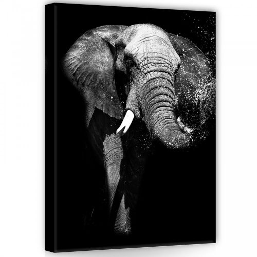 Elefánt, vászonkép, 50x70 cm méretben