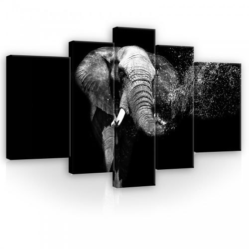 Vászonkép, 5 darabos, Elefánt fekete-fehér 170x100 cm méretben