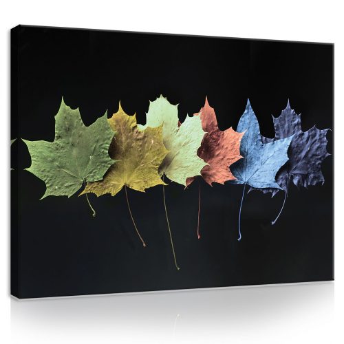 Vászonkép, Szines levelek, 100x75 cm méretben