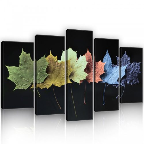 Vászonkép 5 darabos, Színes tölgyfa levelek fekete háttérrel 100x60 cm méretben
