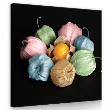 Színes lampionvirág, vászonkép 40x40 cm méretben