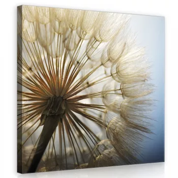 Pitypang, vászonkép 40x40 cm méretben