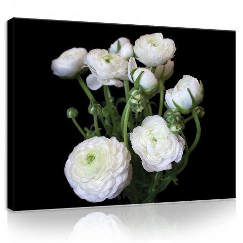 Vászonkép, Fehér rózsák, 100x75 cm méretben