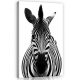 Zebra, vászonkép, 40x60 cm méretben