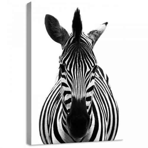 Zebra, vászonkép, 50x70 cm méretben