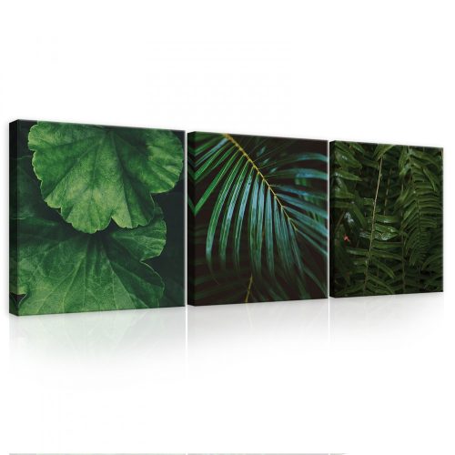Vászonkép 3 darabos, Trópusi levelek, 3 db 25x25 cm méret