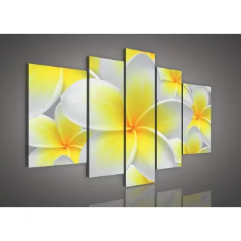 Vászonkép, 5 darabos, Virágok 170x100 cm méretben