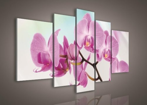 Vászonkép, 5 darabos, Orchidea 170x100 cm méretben