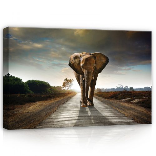 Elefánt az úton, 60x40 cm méretben