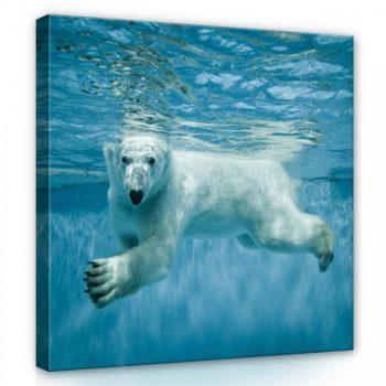 Jegesmedve a víz alatt, vászonkép, 40x40 cm méretben