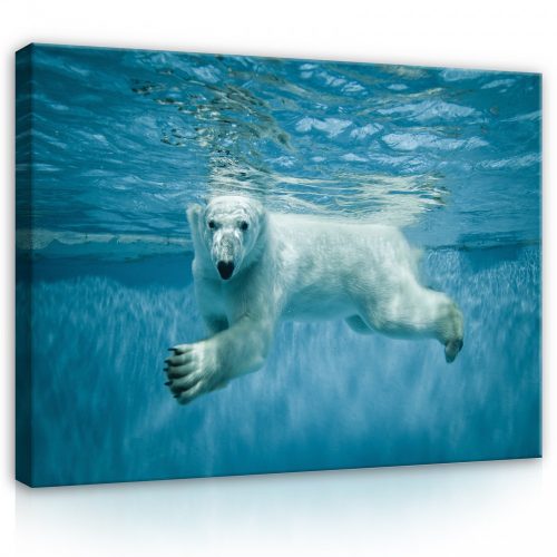 Vászonkép, Jegesmedve a víz alatt  80x60 cm méretben