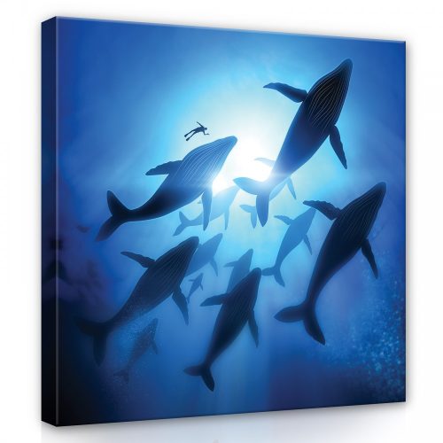 Delfin raj, vászonkép, 80x80 cm méretben