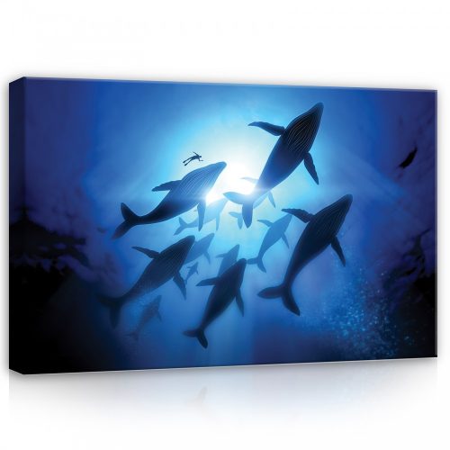 Delfin raj, vászonkép, 60x40 cm méretben