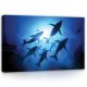 Delfin raj, vászonkép, 60x40 cm méretben