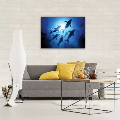 Delfinek, vászonkép, 70x50 cm méretben