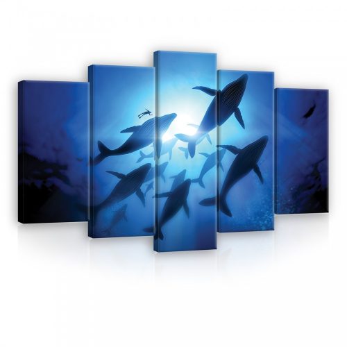 Vászonkép 5 darabos, Delfin raj 100x60 cm méretben