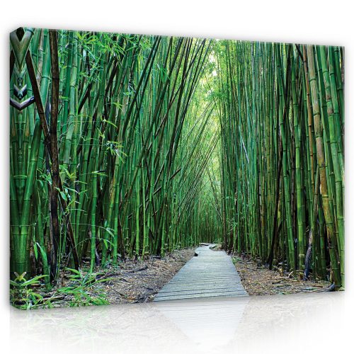 Vászonkép, Út a bambusz erdőben, 60x40 cm méretben