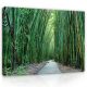 Vászonkép, Út a bambusz erdőben, 80x60 cm méretben