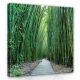 Bambusz erdő, vászonkép, 80x80 cm méretben