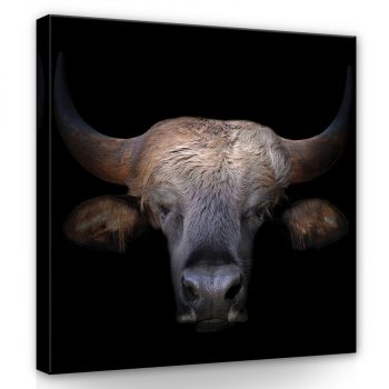 Bölény, vászonkép 40x40 cm méretben