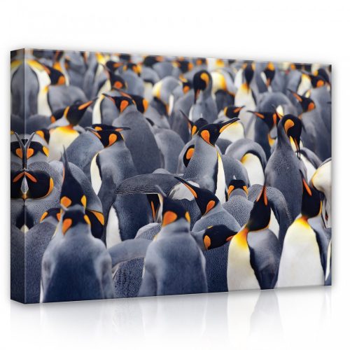 Pingvinek, vászonkép, 70x50 cm méretben