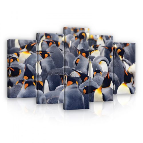 Vászonkép 5 darabos, Pingvinek 100x60 cm méretben